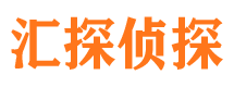 振兴市侦探公司